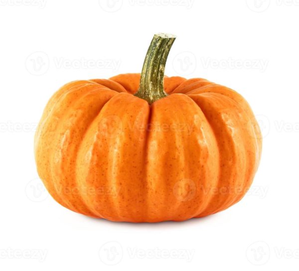 Courges halloween