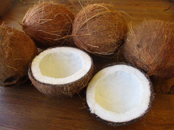 Noix de Coco