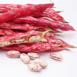 COCO ROUGE HARICOT 500g